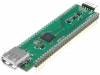 V2DIP1-64 Модуль: USB; DIP Vinculum II; DIP60,USB A; 5ВDC