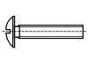 M6X50/BN5285 Винт; M6x50; Головка: сферическая; Шлиц: прямой; пластмасса