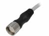 7000-23051-3620500, Соединительный кабель; M23; PIN:12; прямой; 5м; вилка; 125ВAC; 7,5А, MURRELEKTRONIK