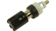 CL681561 Spring Terminal 4.5mm Black