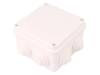 0243-10, Корпус: соединительная коробка; Х:110мм; Y:110мм; Z:67мм; IP55, ELEKTRO-PLAST NASIELSK