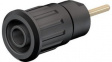 23.3130-21 Safety Socket _4mm Black 24A 1kV Gold-Plated