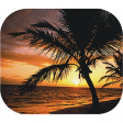 58750 Mouse Pad Palm Beach