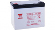 REC36-12 Lead-Acid Battery, 12 V 36 Ah