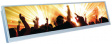 TX38D25VM0CAA TFT display 14.9" 1280 x 242 Pixel