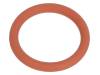 1.321.1000.79 Прокладка O-ring; Корпус: красный; -60?250°C; NPT1"; D:2мм