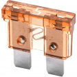F1505 Fuse normOTO 5 A 32 VDC beige