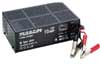 2043480000 Charger, Lead-acid 48 VDC 2.5 A