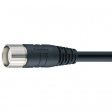 RKU 12-256/5 M Разъем M23 и 12-жильный кабель