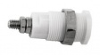 BU-P72930-9 Banana Plug, White, 36A, 1kV, Gold