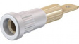 23.1013-29 Press-in Socket 4mm White 25A 60V Gold-Plated