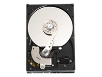 400-18496, Harddisk 3.5" SATA 1.5 Gb/s 1000 GB 7200RPM, Dell