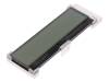 DEM 16229 FGH-PW, Дисплей: LCD; алфавитно-цифровой; COG, FSTN Positive; 16x2; LED, Display Elektronik