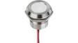 Q22Y5SXXW24E LED Indicator White 24 VDC