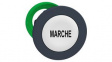 ZB5FA142 Pushbutton Head MARCHE White Flush Suitable for Harmony XB5