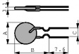 60R300XF Fuse, radial 6 A 0.1 Ohm