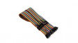 WPA414 Jumper Cable of 40 Wires, Male to Female, AWG22