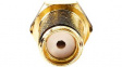 CSGP02901GD [2 шт] SMA Socket, RG-174 Cable, Pack of 2 pieces