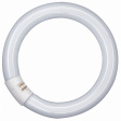 L 22W/840 C Fluorescent lamp 230 VAC 22 W G10q