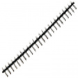 CTBA1301/PS24 Pin header 5mm, 24 Poles