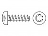 3137664 Винт; 2,2x10; Головка: цилиндрическая; Torx®; закаленная сталь