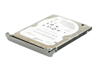 DELL-500S/5-NB33, Harddisk SATA 1.5 Gb/s 500 GB 5400RPM, -