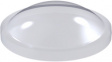 RND 455-00489 Self-Adhesive Bumper, 8 mm x 2.2 mm, Clear