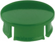 499.648 Cover shiny green