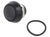 PV5S24011 Push Button Switches