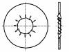 1278614, Шайба; зубчатая (внутренние зубцы); M6; D=14,2мм; h=0,7мм; BN:785, BOSSARD