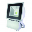 LED-FLG80Scw LED Floodlight