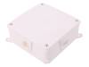 0217-00, Корпус: соединительная коробка; Х:134мм; Y:134мм; Z:50мм; IP20, ELEKTRO-PLAST NASIELSK