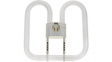 78332 Fluorescent lamp 110 V 38 W GR10q (4 Pin)