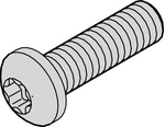 24560-155 [100 шт], Torx pan head screw M4 x 10 mm metallic PU=100 ST, Schroff