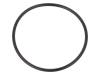 52005760 Прокладка O-ring; Корпус: черный; -20?100°C; PG36; D:2мм
