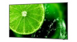 60005052 Display, IPS, 3840 x 2160, 1200:1, 350cd/m², 49"