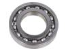16005 SKF, Подшипник: шариковый однорядный; Внутр.диаметр:25мм; W:8мм, SKF