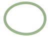1.321.3200.58 Прокладка O-ring; Корпус: зеленый; -40?200°C; M32; D:2мм