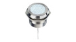 Q30Y5SXXW1AE LED Indicator, White, 30mm, 24V, Wire Lead