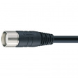 RKU 19-242/10 M Connector M23 + Cable 19-Core, 19-pin, 10 m