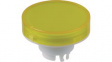 AT3017EB Switch Cap 4.9 mm 19 mm