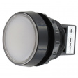 955WW0D LED Indicator white 24 VAC/DC