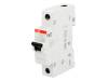 2CDS211001R0065, Выключатель максимального тока; 230ВAC; Iном:6А; Монтаж: DIN, ABB