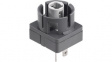 CTLF Contact block black
