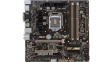 90MB0GN0-M0EAY0 Motherboards MicroATX Intel B85 Express Pentium,Celeron,Core i5,Core i3,Core i7