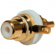 GRB061 B/R WHITE Female panel connector white