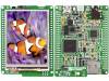 MIKROMEDIA FOR XMEGA Средство разработки: AVR; ATXMEGA128A1; ISP, UART; PDI; USB