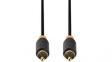CABP24170AT20 Digital Audio Cable RCA Plug - RCA Plug 2m