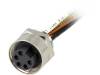21043162501 Гнездо; 7/8"; 0,5м; "мама"; PIN:5; прямой; с проводами; ПВХ