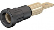 23.1013-21 Press-in Socket \x1a4mm Black 25A 60V Gold-Plated